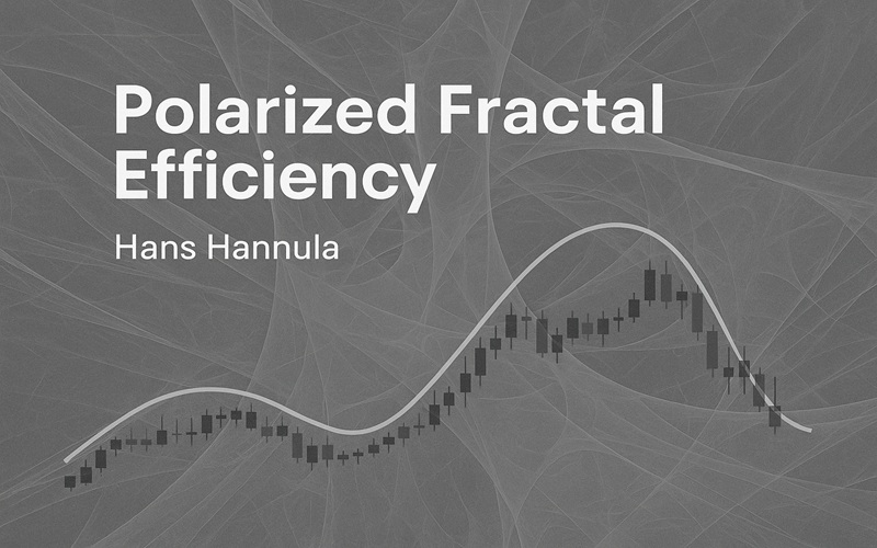 Polarized Fractal Efficiency By Hans Hannula Cover